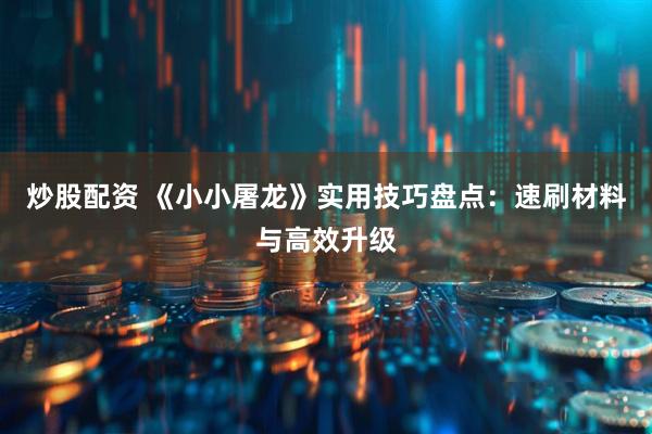 炒股配资 《小小屠龙》实用技巧盘点：速刷材料与高效升级